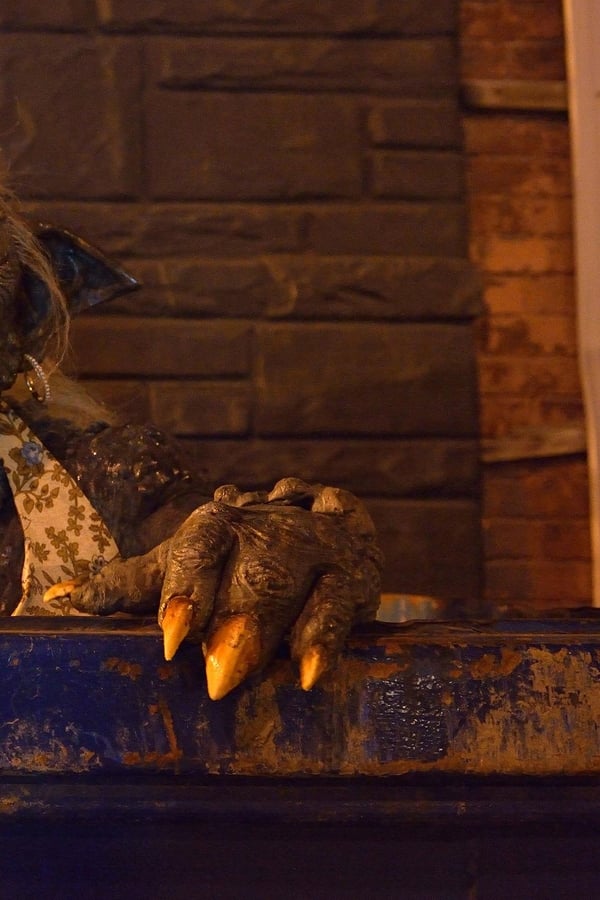 Jovem Solteiro à Procura