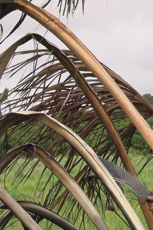 Largados e Pelados Latinos