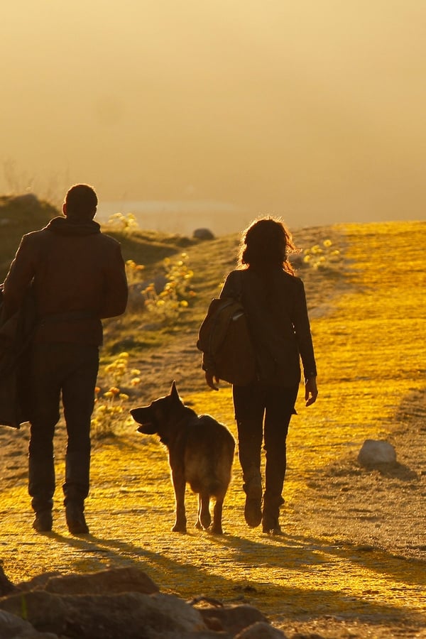 Cidade das Esmeraldas