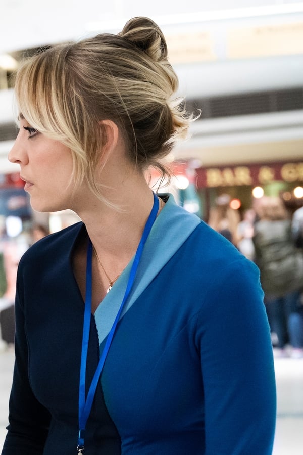 A Comissária de Bordo